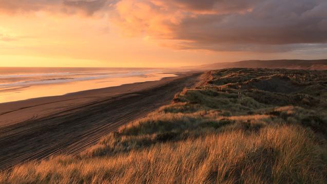 beach shoreline during sunset