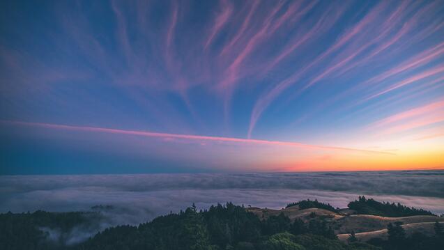 landscape photography of green lands during golden hour