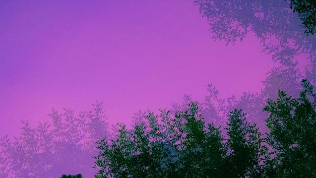 An Evening with Richard Tarnas