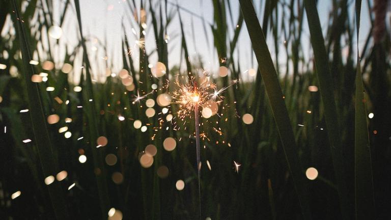 Close-up of dewy grass with sun peeking through.