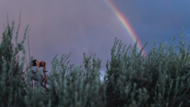 Dog in a rainbow