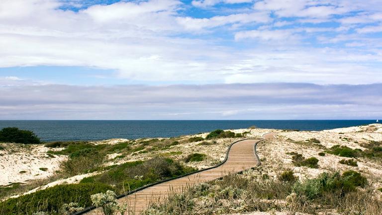 Photo of Asilomar beach with a meandering walkway