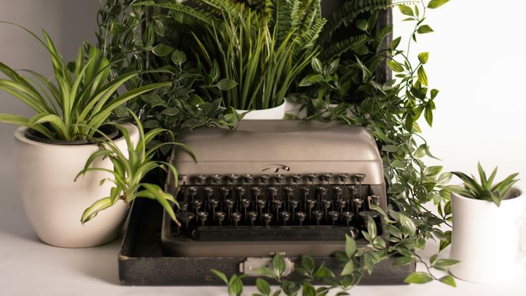 Typewriter with Plants
