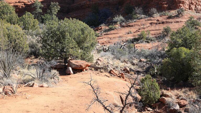 Desert Spirituality with Brother Gary Paul Nabhan