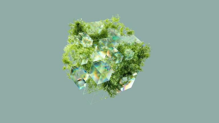 A futuristic cube composed of transparent, iridescent surfaces intertwined with lush green foliage. The structure blends nature with technology, symbolizing a harmonious integration of organic growth and modern innovation, all set against a minimalist greenish-gray background.