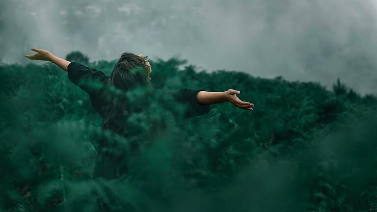 A person with arms outstretched stands in a lush green field, surrounded by tall ferns, facing away from the camera. The background is filled with mist or fog, creating a serene and tranquil atmosphere