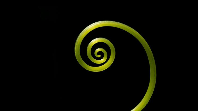 Understanding Shamanism: A Conversation With Manvir Singh & Susana Bustos