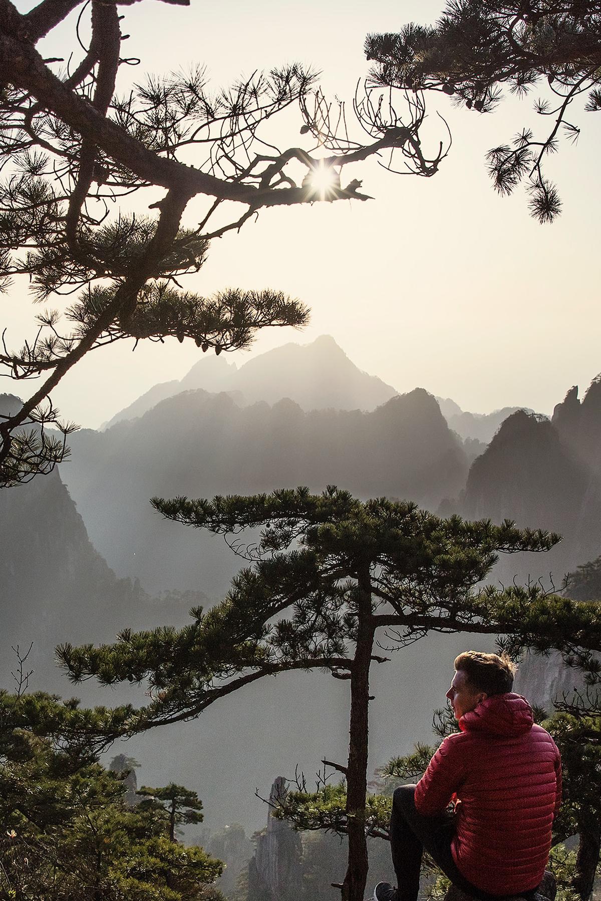 Person looking at the trees by Joshua Earle