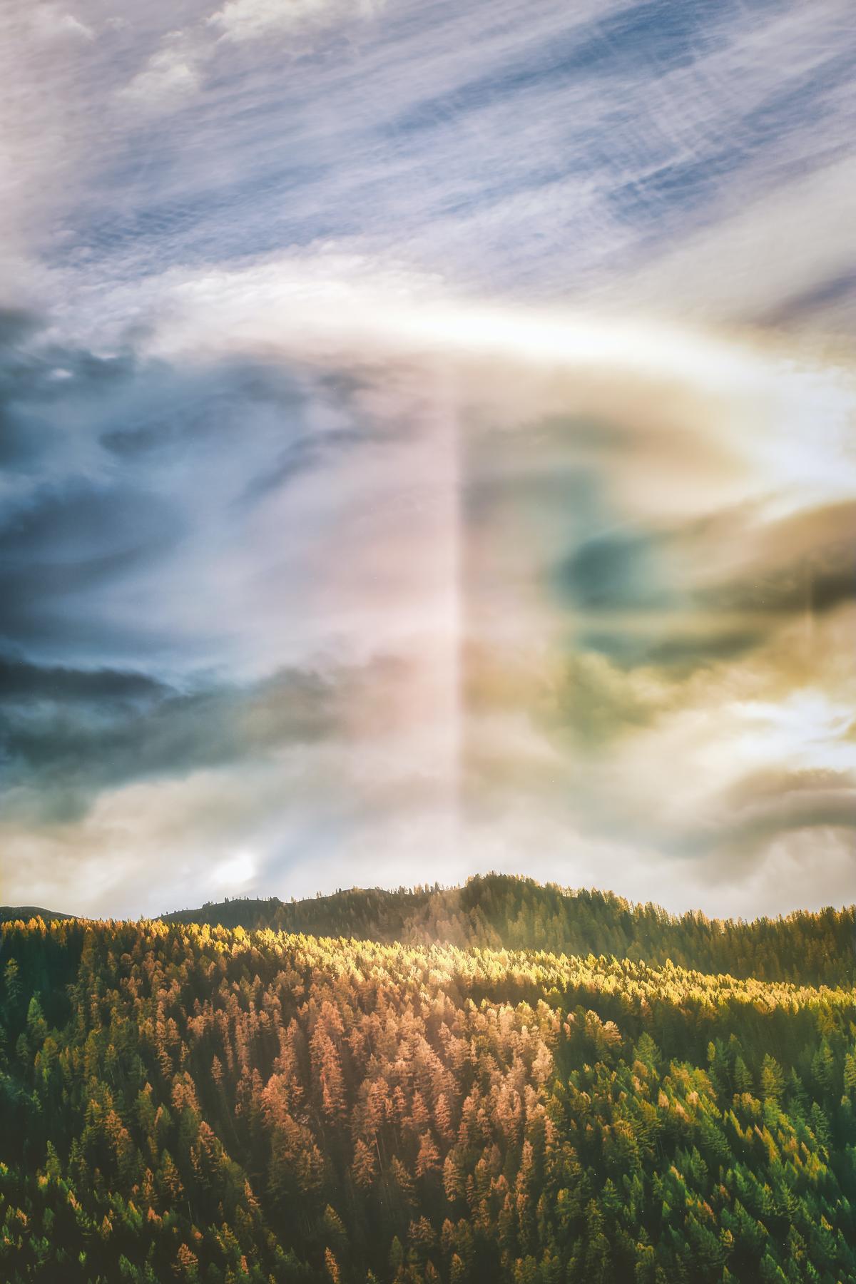 Rainbow over forest